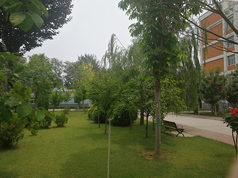 校园环境